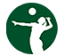 Volleyball Area